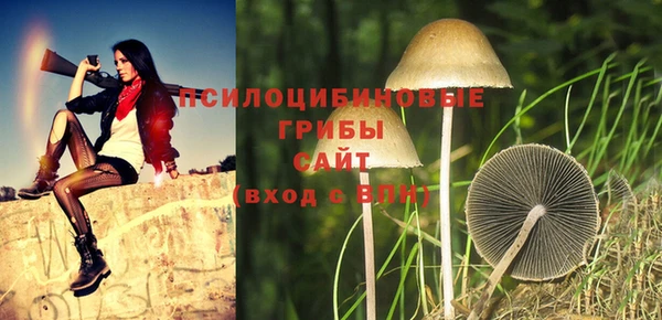 а пвп мука Алзамай