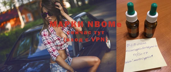 гашик Алексеевка