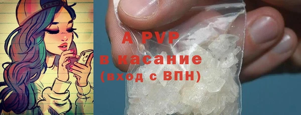 гашик Алексеевка