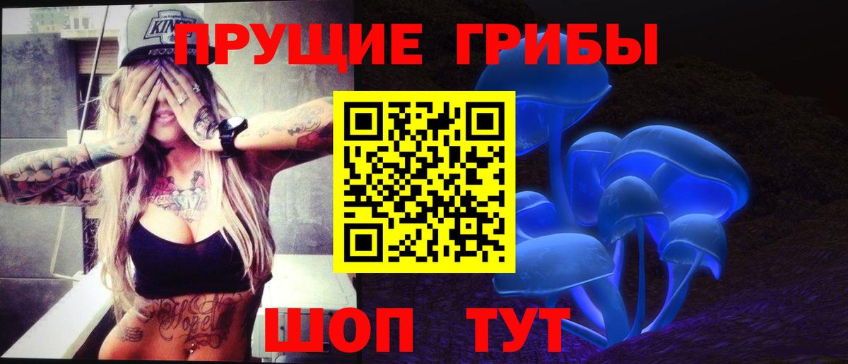 Чебоксары  наркота  Вход с VPN  Псилоцибиновые грибы Psilocybe 